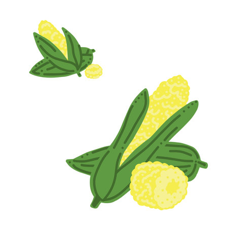 Corn. Ear of corn and slice. Good for posters, package, t-shirts, postcards, shopping bags. Vector hand draw cartoon illustration.のイラスト素材