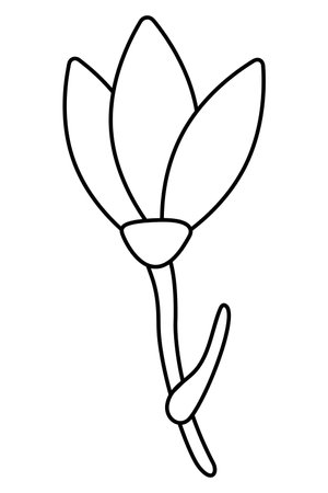 Snowdrop flower doodle. Hand drawn outline vector illustration.のイラスト素材