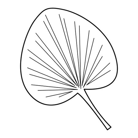 Palm leaf in doodle style6. Black and white vector illustration.のイラスト素材