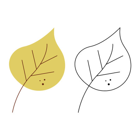 Small set with abstract autumn leaf. Black and white and color clipart vector illustration.のイラスト素材
