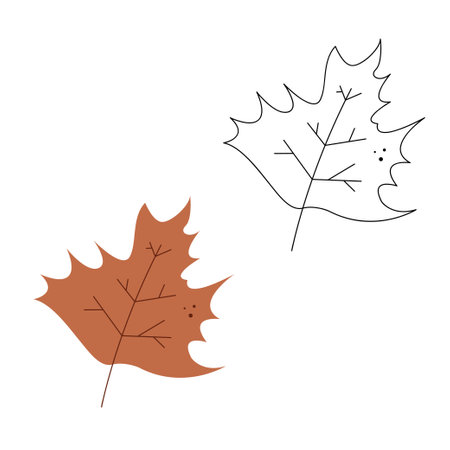 Small set with abstract maple leaf. Black and white and color clipart vector illustration.のイラスト素材