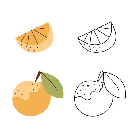 A small set with an orange and a piece of orange. Black and white and color clipart vector illustration.のイラスト素材