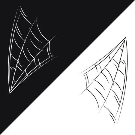 Small set of spider web as a symbol of Halloween. Black and white doodle vector illustration.のイラスト素材