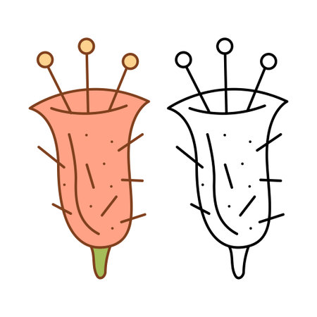 Cactus flower like a bell. Flat color and black and white vector illustration.のイラスト素材
