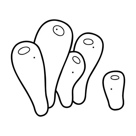 Coral in white and black. Doodles clip art for your projects.のイラスト素材