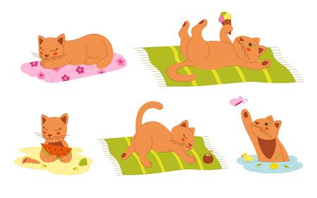 Five cute color cats on the beach. Clip art for your projects.のイラスト素材