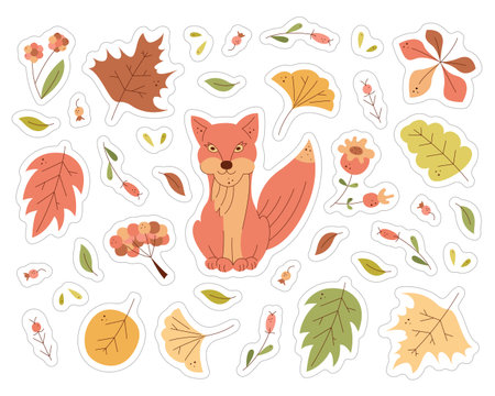 A set of stickers with a cute fox, leaves and berries. Color flat illustration.のイラスト素材