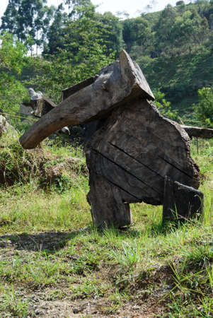 elephantの写真素材