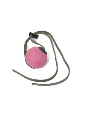 Pink ballgagの写真素材