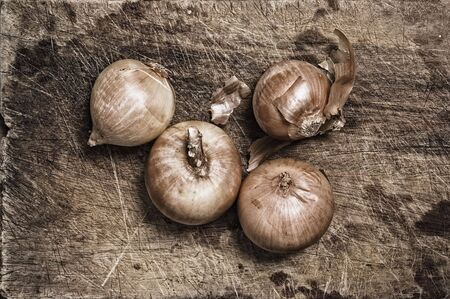 Onions on old wooden table.の写真素材