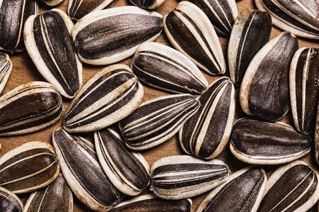Sunflower seeds.の写真素材