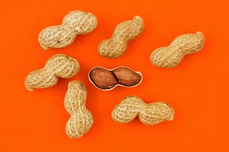 Peanuts on orange background, close up shot.