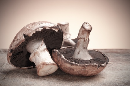 Champignon, closeup.の写真素材