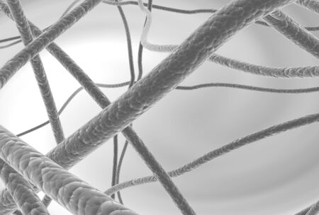 gray fiber in microcosmic view.の写真素材