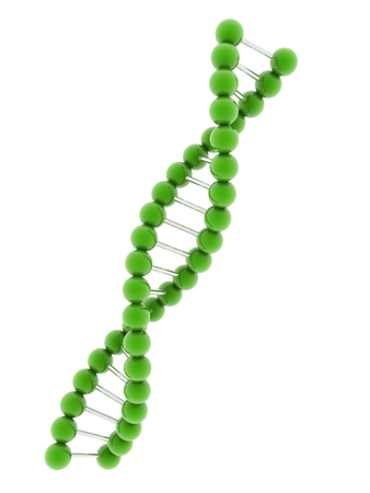 3d DNA model on white background.の写真素材