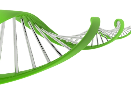 3d DNA model on white background.の写真素材