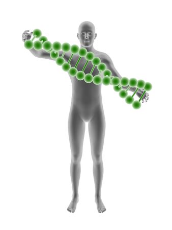 man and DNA isolated on white background.の写真素材