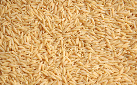 Rice grains arranged as backgroundの写真素材