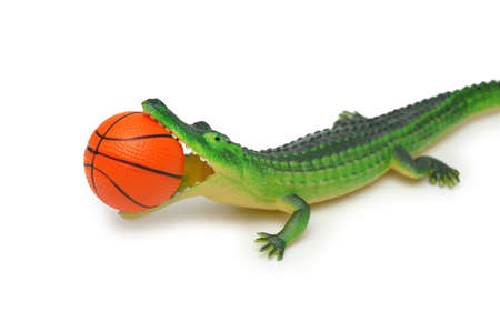 Crocodile with basketball isolated on whiteの写真素材