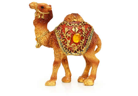 Figure of camel isolated on whiteの写真素材