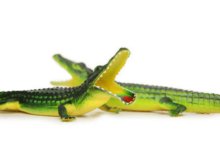 Two crocodiles isolated on whiteの写真素材