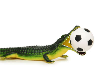 Crocodile with football isolated on whiteの写真素材
