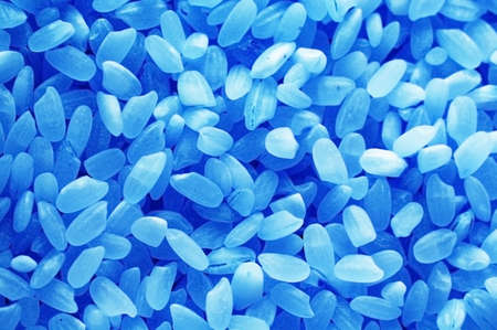 Rice grains arranged as background - blue tintの写真素材