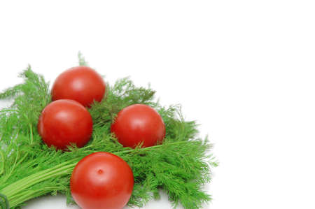 Tomatoes and herbs isolated on the white backgroundの写真素材