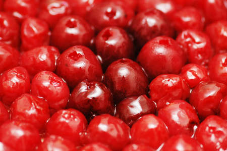 Red bright berries to be used as backgroundの写真素材