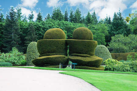Trees and  bushes on bright summer dayの写真素材