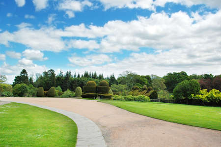 Forest  and garden on bright summer dayの写真素材