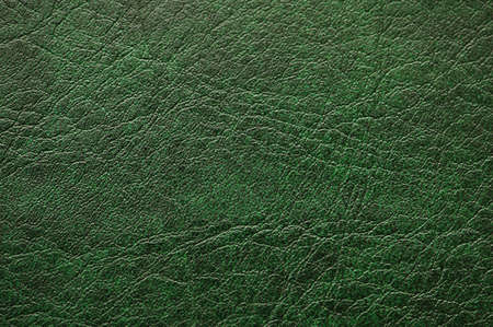 Pattern of green  leather - can be used as backgroundの写真素材