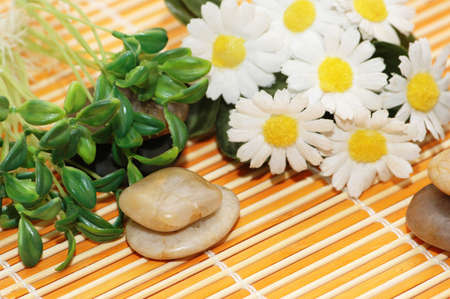 Camomiles, herbs and stones  for spa sessionの写真素材