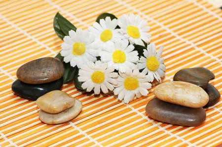 Camomiles and pebbles ready  for aromatherapy sessionの写真素材