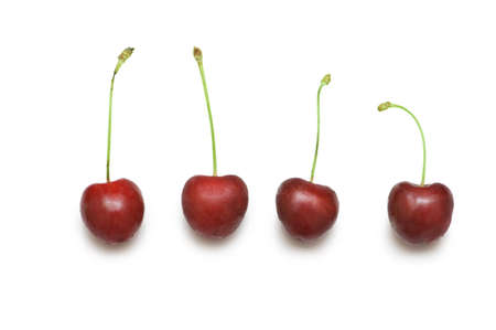 Row of cherries isolated on the whiteの写真素材