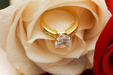 Diamond ring between the petals of white rose