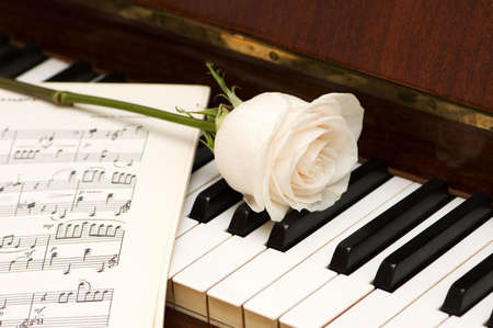 White rose over music sheets and piano keysの写真素材