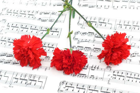 Red carnation flower on musical notes pageの写真素材