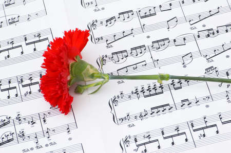 Red carnation flower on musical notes pageの写真素材