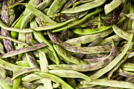 Lots of green pods at the background