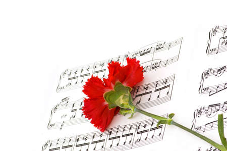 Red carnation flower on musical notes pageの写真素材