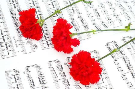 Red carnation flower on musical notes pageの写真素材