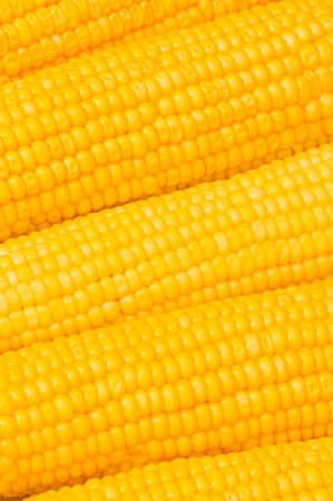Extreme close up of yellow corn cobs