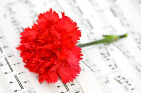 Red carnation flower on musical notes pageの写真素材