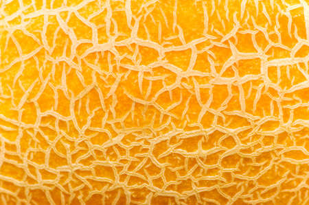 Textured yellow melon background - extreme close up
