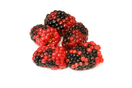 Extreme close up of berry isolated on white