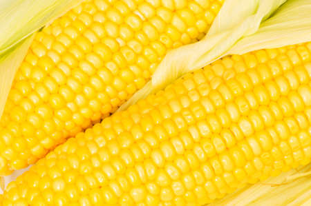 Extreme close up of yellow corn cobs