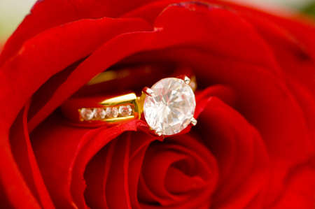 Diamond ring between the petals of red roseの写真素材
