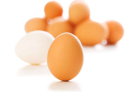 Brown egg on white - shallow depth of field