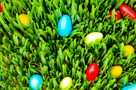 Easter concept - colourful eggs in green glassの写真素材